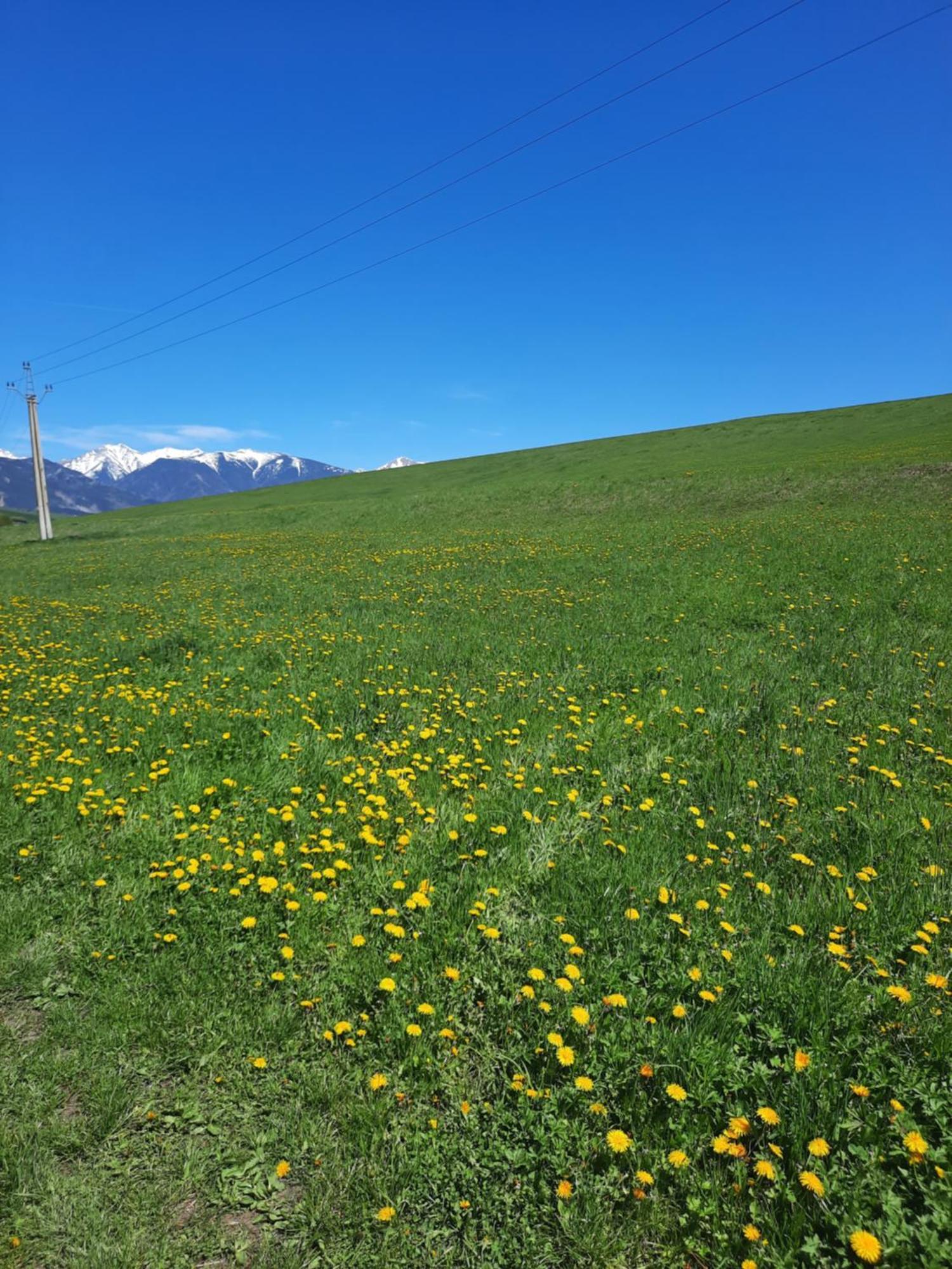 Domceky Holiday Liptovský Trnovec Buitenkant foto